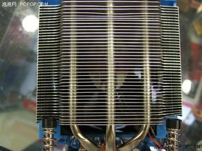 la的配位數是多少 為什么